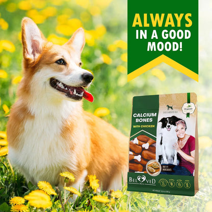 Dog Calcium Bones Wrapped Chicken & Rawhide Free Chew Treats Pet Healthy Dried Snacks Grain Free Organic Meat Chews For Training Small Large Dogs - Palooza Pets