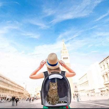 Cat Pet Carrier Backpack Transparent Capsule Bubble Pet Backpack Small Animal Puppy Kitty Bird Breathable Pet Carrier for Travel - Palooza Pets