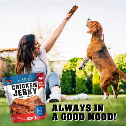 Chicken Jerky Dog Treats 1.5 Lb Human Grade Pet Snacks Grain Free Organic Meat All Natural High Protein Dried Strips Best Chews For Training Small & Large Dogs - Palooza Pets